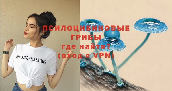 соль курить ск Алексеевка