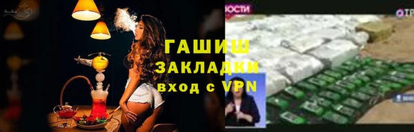 хмурый Алзамай
