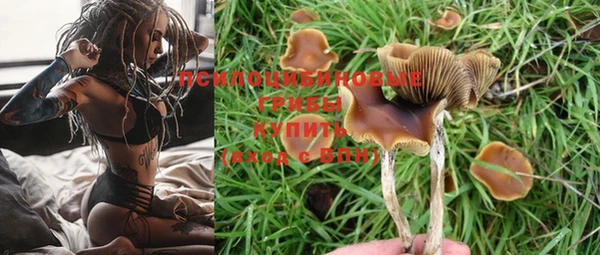 хмурый Алзамай