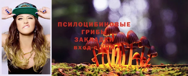 соль курить ск Алексеевка